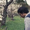 velove vexia adipati hujan di bulan juni