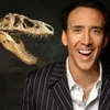 barang aneh, barang unik, foto nicolas cage, barang nicolas cage