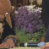 pernikahan kahiyang ayu dan bobby nasution