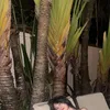 Momo TWICE Pakai Bikini