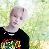 NCT127 by Dispatch
