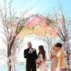 okan kornelius, mey lee