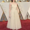 Red Carpet Oscar 2017