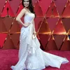 Red Carpet Oscar 2017