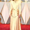 Red Carpet Oscar 2017