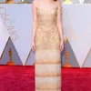 Red Carpet Oscar 2017
