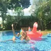 Carissa Putri ke Bali Bareng Baby Q