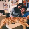 Rizky Febian &amp; Vebby Palwinta