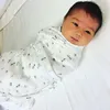 Anak Yasmine Wildblood