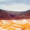 salju di sahara, salju turun di gurun, salju turun di gurun sahara