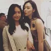 sulli dan artis sm