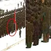foto photoshop gagal Korea Utara