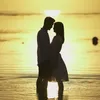 Dion - Fiona