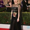 Red Carpet \&#039;SAG Awards 2017\&#039;