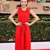 Red Carpet \'SAG Awards 2017\'