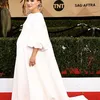Red Carpet \'SAG Awards 2017\'