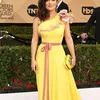 Red Carpet \'SAG Awards 2017\'
