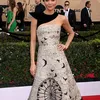 Red Carpet \'SAG Awards 2017\'
