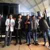 D Masiv