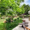 Rumah Chris Martin