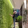 rumah clara lee