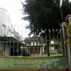 Rumah Selebritis