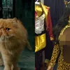 Kim Kardashian sebagai karakter Harry Potter