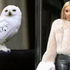 Kim Kardashian sebagai karakter Harry Potter