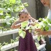 anak atiqah hasiholan
