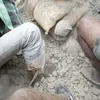 Foto gempa bumi Nepal