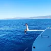 Kris Jenner