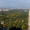 Apartemen Incaran Ronaldo