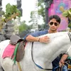 Shaheer Sheikh