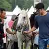 Shaheer Sheikh