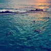 iphone photography, fotografi iphone