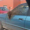 Foto orang tak beruntung