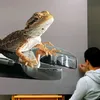 hiperrealistis