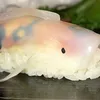 foto sushi berbentuk ikan koi