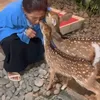 Foto Susi Pudjiasti Bersama Rusa
