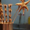 Camilan Paling Aneh di Dunia