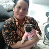 kabar candy satrio