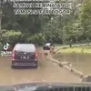 kuda nil bogor makan plastik pelaku buron