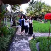 Nikita Willy