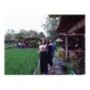 Nikita Willy