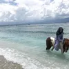 Zaskia Sungkar &amp; Irwansyah di Lombok