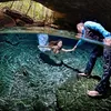 Foto Couple di Bawah Air