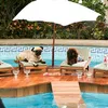 beverly hills cihuahua
