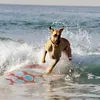 Marmaduke