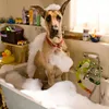 Marmaduke