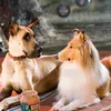 Marmaduke